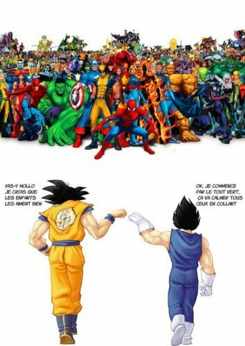 Toile tableau dragon ball - toile,